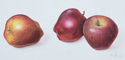 Rode appels, 1996 door Margaret Ann Eden